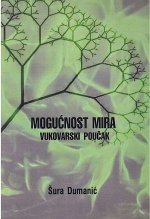 Mogućnost mira