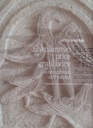 Sokolarstvo i ptice grabljivice