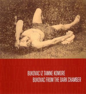 Bukovac iz tamne komore = Bukovac from the dark chamber