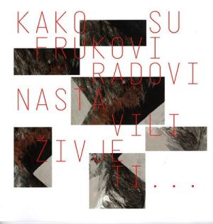 Kako su Frukovi radovi nastavili živjeti…